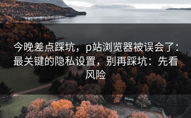 今晚差点踩坑，p站浏览器被误会了：最关键的隐私设置，别再踩坑：先看风险