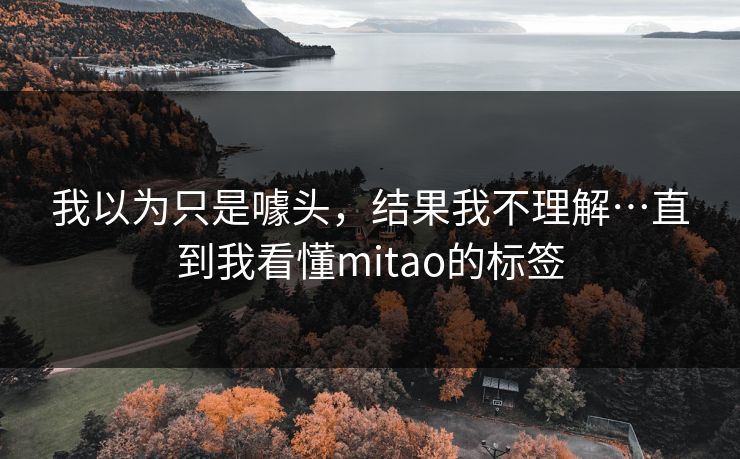 我以为只是噱头，结果我不理解…直到我看懂mitao的标签